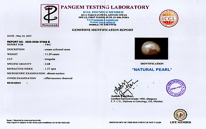 certificate_imageSSP-8967-17081.jpg