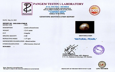 certificate_imageSSP-8969-11300.jpg