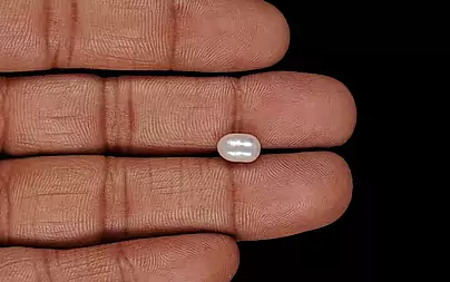 Venezuela Pearl - 2.00 Carat Limited Quality SSP-8970