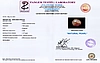 certificate_imageSSP-8976-34521.jpg