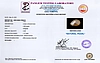 certificate_imageSSP-8980-79047.jpg