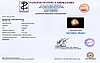 certificate_imageSSP-8981-3647.jpg