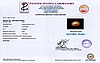 certificate_imageSSP-9004-18780.jpg