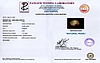 certificate_imageSSP-9054-92846.jpg