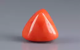 Italian Red Coral - 16.63 Carat Limited Quality TC-5004