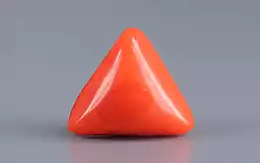 Italian Red Coral - 2.94 Carat Fine Quality TC-5118 