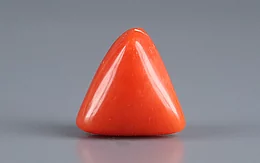 Italian Red Coral - 3.11 Carat Limited Quality TC-5125