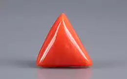 Italian Red Coral - 3.65 Carat Prime Quality TC-5183