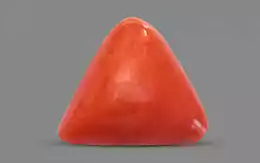 Italian Red Coral - 3.58 Carat Prime Quality TC-5184