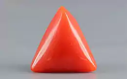 Italian Red Coral - 3.3 Carat Prime Quality TC 5232