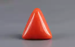 Italian Red Coral - 3.62 Carat Prime Quality TC 5244