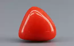Italian Red Coral - 3.07 Carat Limited Quality TC-5256