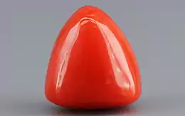 Italian Red Coral - 3.38 Carat Limited Quality TC-5265