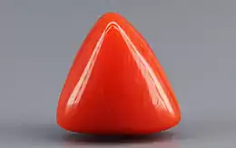 Italian Red Coral - 3.82 Carat Limited Quality TC-5272
