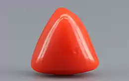 Italian Red Coral - 3.37 Carat Limited Quality TC-5276