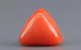 Italian Red Coral - 3.11 Carat Limited Quality TC-5287