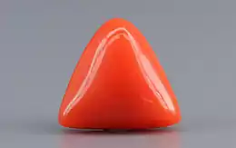 Italian Red Coral - 3.27 Carat Limited Quality TC-5289