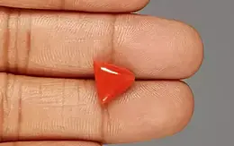 Italian Red Coral - 4.55 Carat Rare Quality TC-5332