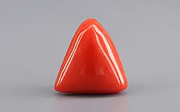 Italian Red Coral - 11.05 Carat Rare Quality TC-5421