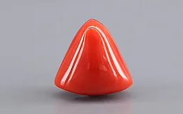 Italian Red Coral - 9.25 Carat Limited Quality TC-5423