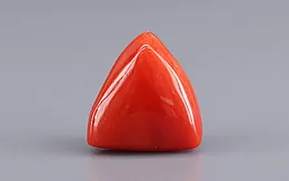 Italian Red Coral - 8.15 Carat Limited Quality TC-5434