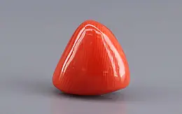 Japanese Red Coral - 8.28 Carat Rare Quality TC-5437