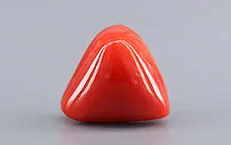 Italian Red Coral - 8.17 Carat Limited Quality TC-5445