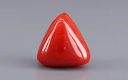 Italian Red Coral - 9.67 Carat Rare Quality TC-5448