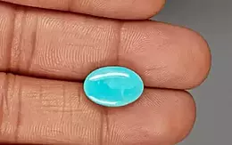 Arizona Turquoise - 4.93 Carat Prime Quality TQS-13735