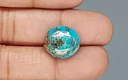 Irani Turquoise - 13.52 Carat Limited Quality TQS-13788