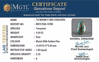 certificate_imageTQS-13789-82513.jpg