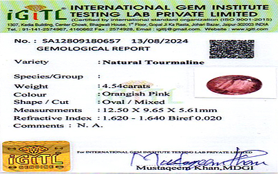 certificate_imageTU-21025-35155.jpg
