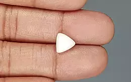 Italian White Coral - 2.48 Carat Limited Quality TWC-22016