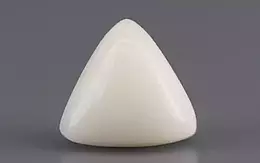 Italian White Coral - 2.48 Carat Limited Quality TWC-22016