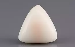 Italian White Coral - 4.3 Carat Limited Quality TWC-22020