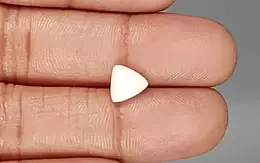 Italian White Coral - 1.97 Carat Limited Quality TWC-22041