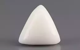 Italian White Coral - 2.62 Carat Limited Quality TWC-22043