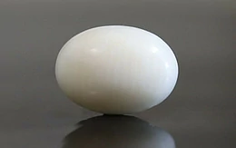 Japanese White Coral - 4.32 Carat Prime Quality WC-7521