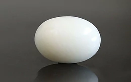 Japanese White Coral - 4.3 Carat Prime Quality WC-7522