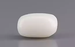  Italian White Coral - 3.49 Carat Prime Quality WC-7587