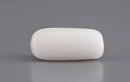Italian  White Coral - 3.5 Carat Prime Quality WC-7588