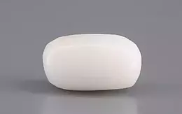 Italian  White Coral - 3.27 Carat Prime Quality WC-7589