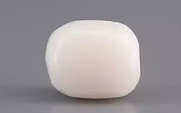  Italian White Coral - 3.13 Carat Prime Quality WC-7591