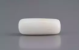  Italian White Coral - 5.12 Carat Prime Quality WC-7597
