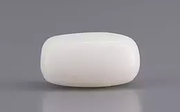 Italian  White Coral - 3.59 Carat Prime Quality WC-7600