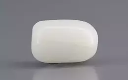 Italian  White Coral - 2.75 Carat Prime Quality WC-7603
