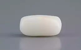 Italian White Coral - 3.01 Carat Prime Quality WC-7604