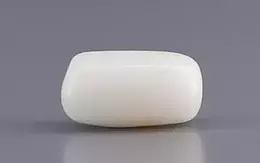 Italian  White Coral - 3.23 Carat Prime Quality WC-7605
